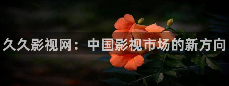 好好看影院：久久影视网：中国影视市场的新方向