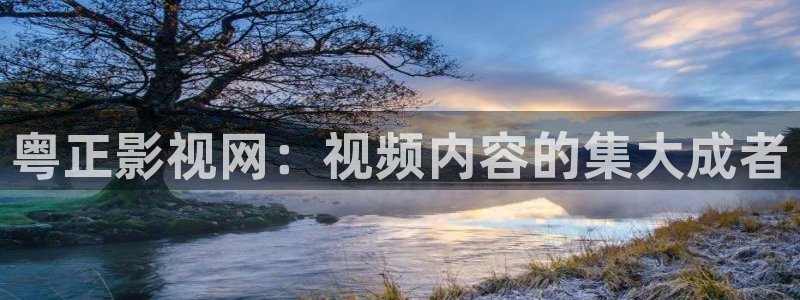 好看影院：粤正影视网：视频内容的集大成者