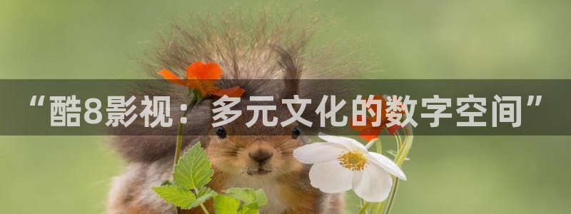 好好看影院：“酷8影视：多元文化的数字空间”