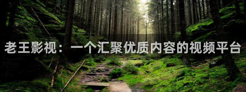 《四库影视》电视剧在线观看-好看影院：老王影视：一个汇聚优质内容的视频平台