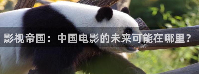 四虎好看影院：影视帝国：中国电影的未来可能在哪里？