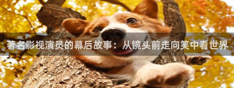 好看影院大全：著名影视演员的幕后故事：从镜头前走向笑中看世界